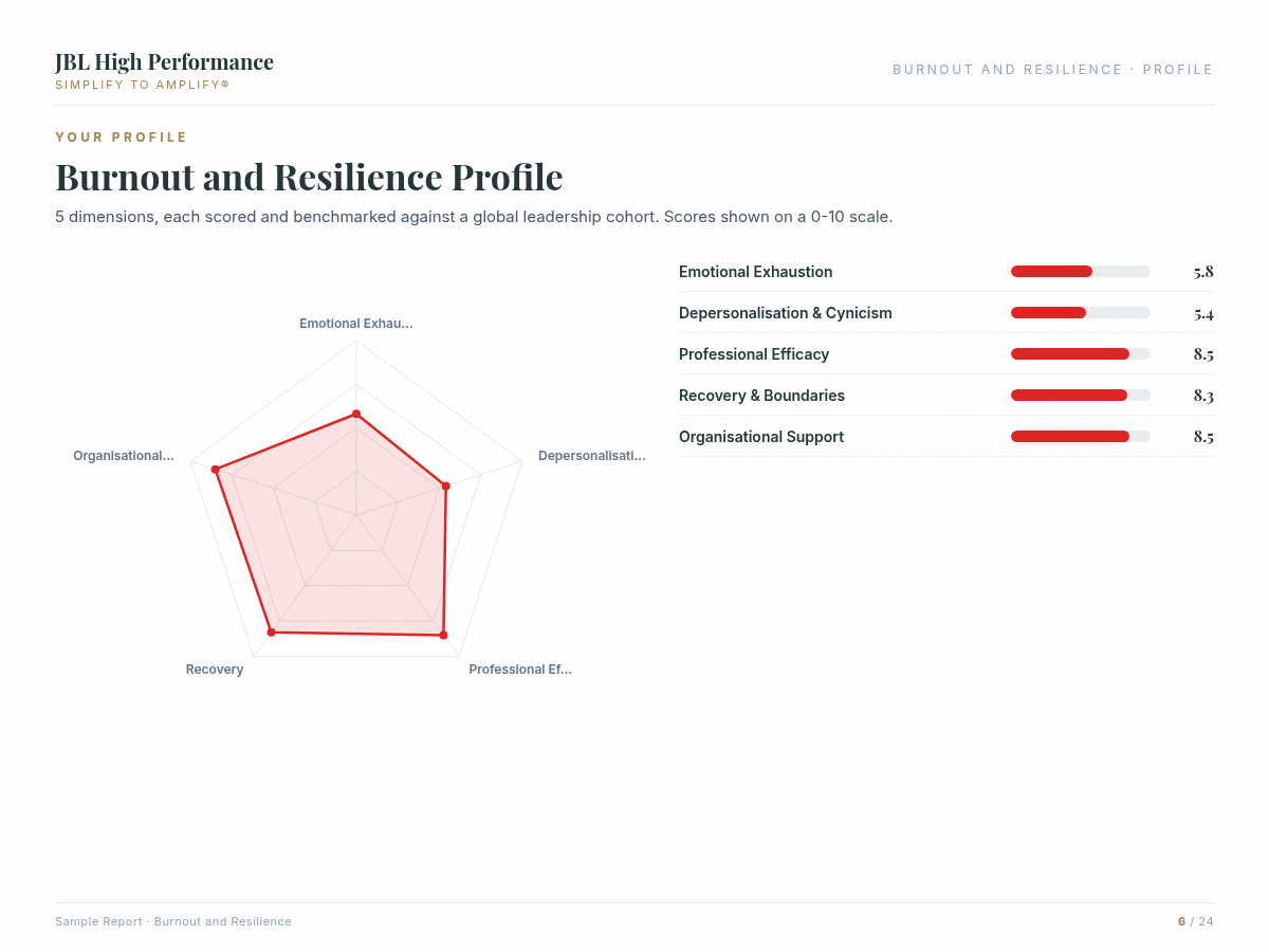 Burnout and Resilience assessment report preview showing data visualisation and coaching insights