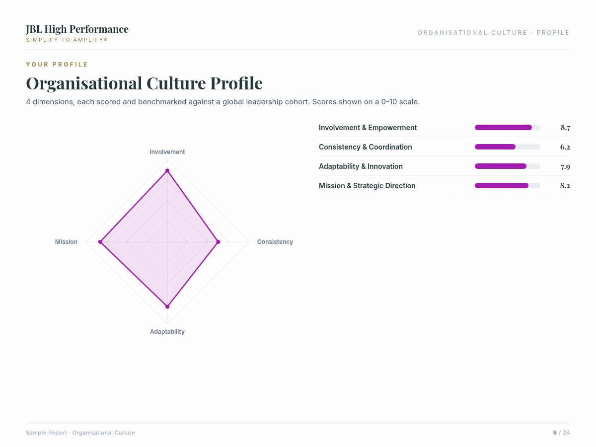 Organisational Culture assessment report preview showing data visualisation and coaching insights