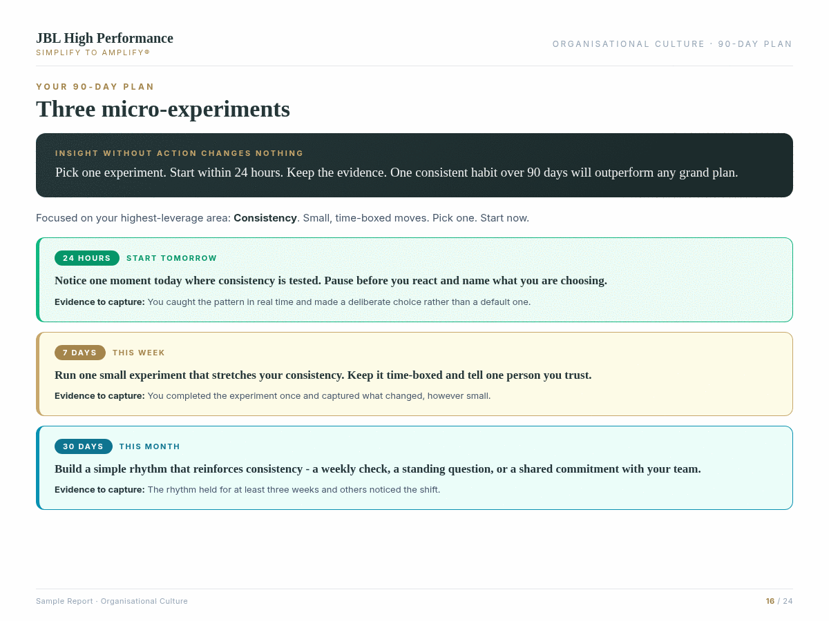 Organisational Culture assessment data visualisation with dimensional scores