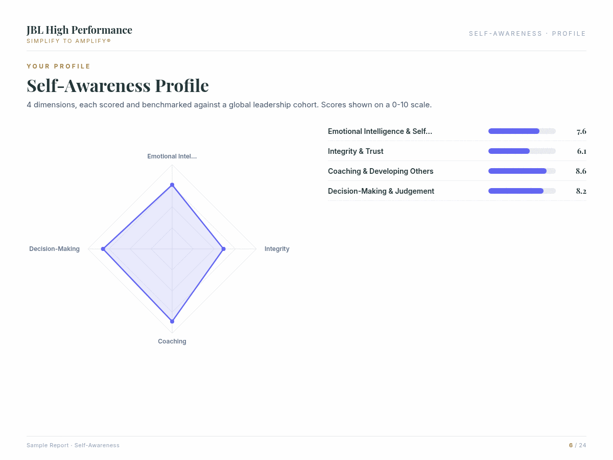 Self-Awareness assessment report preview showing data visualisation and coaching insights