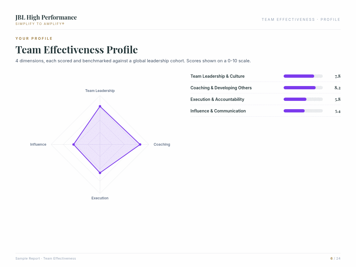 Team Effectiveness assessment report preview showing data visualisation and coaching insights