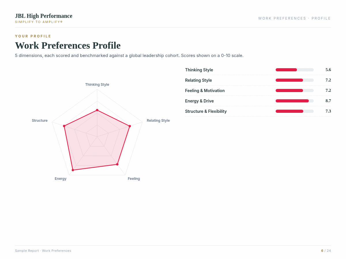 Work Preferences assessment report preview showing data visualisation and coaching insights