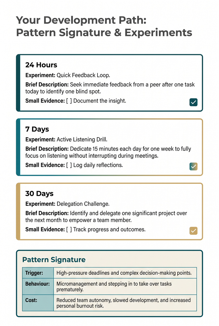 Micro-experiments page from a real assessment report showing small, time-boxed leadership experiments with observable evidence markers